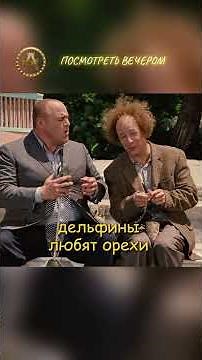БРЫСЬ ПОД ЛАВКУ | ANDRON КИНОРЕЗ #лучшиемоменты #фильм #фильмыкоторыестоитпосмотреть