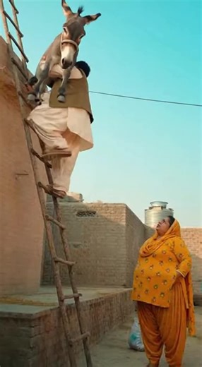 Funny Voice Effects Compilation