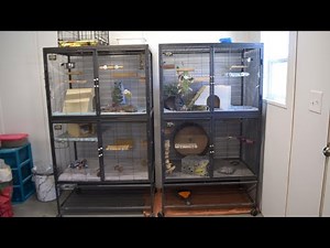 Chinchilla Cage Tours