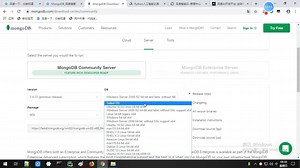 607-MongoDB下载安装