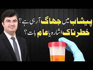 Foamy Urine: Dangerous Sign or Normal?