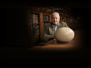 Attenborough's Big Birds - Apple TV