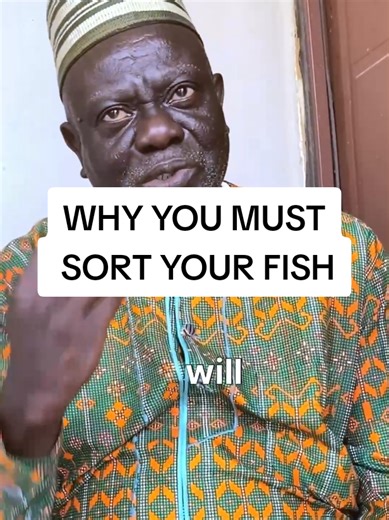 Why Proper Fish Sorting is Vital for Healthy Farming