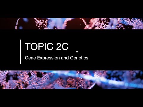 Unit 1 - 2C CRASH COURSE (Mutation, CFTR & Genetic Screening)