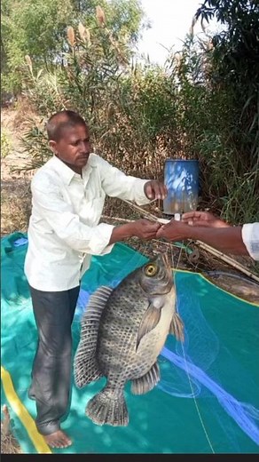 fishing net making🐟gill net making👍 net making short