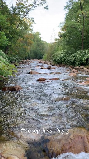 16K views · 245 reactions | Orvis Fly Fishing on Reels | Facebook