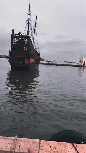 مغامرات بالقرب من البحر مع الذئب