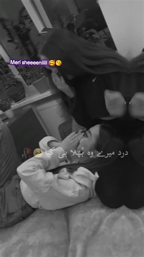 Best Friends Forever: Celebrating Unbreakable Bonds