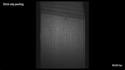 Tape screeches as it’s pulled off the roll—a distinctive sound that physicists have linked to cracks spreading through the adhesive at supersonic speed. Learn more: https://scim.ag/4s8E9a5 | Science