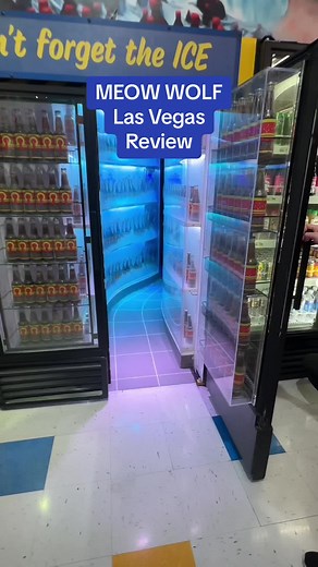 You may lose your mind but better than losing your money 😀#lasvegas #travel #review #meowwolflasvegas #meowwolf #CapCut #rossisboss