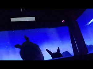 shrek adventure 3d ride