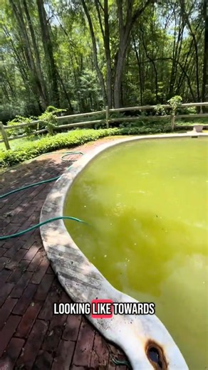 1.8K views | RED pool is INFAMOUS 喝 Last year it was our craziest...