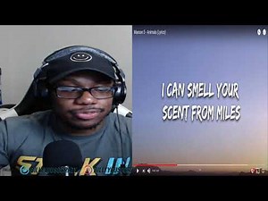 Marooon 5 - Animals REACTION!