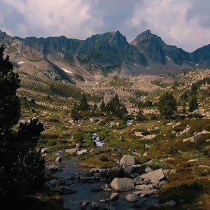 102K views · 536 reactions | ¿Quieres sentir lo bien que se está out de todo? ¡Saca tu lado out con el Multivan Outdoor! ¡Haz click y descúbrelo! | Volkswagen | Facebook