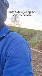 8.8K reactions · 86 shares | WALANG KAKAIN SA INYO. MGA TRYDOR. HAHAHAHA. #cows #cow #nz #newzealand #newzealandlife #farmlife #farm #farming #ph #philippines #pinoy #pinoyinnz #TikTok #milking #dairy #dairyfarm #love #lunch #life #fyp #foryourpage #fypchallenge | Riri Cabrera | Facebook