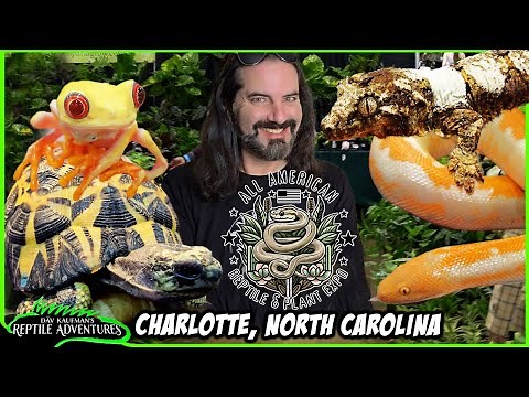 ALL AMERICAN REPTILE & PLANT EXPO! Charlotte, North Carolina, April 2025