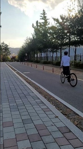 픽시초보가 하는 피쉬테일
