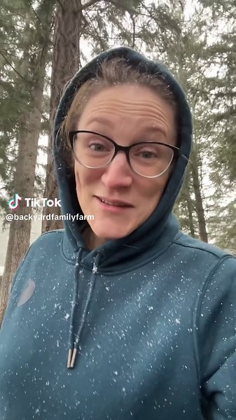 Winter has been really mild so far, and I’m loving our snow flurries! #pnw #pnwlife #winter #snow #chickentok #homestead #backyardflock #backyardfarm #backyardchickens #backyardfamilyfarm #chickens #foodtime