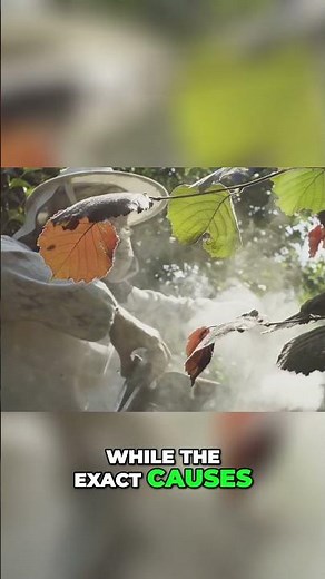 The Mysterious Case of Colony Collapse Disorder: Causes and Consequences