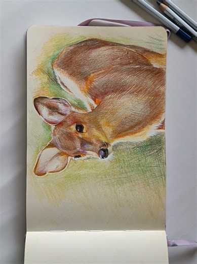 Spring Inspiration in Nature and Art