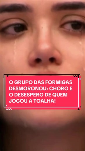 O GRUPO DAS FORMIGAS DESMORONOU: CHORO E O DESESPERO DE QUEM JOGOU A TOALHA! #BBB26 #RedeBBB #RealityShow #foyou #FY