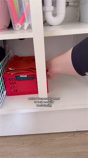 SORTING MY LIFE OUT - organising all my cleaning and utility products under the kitchen sink. still too much stuff but I can access it all now and use it all gradually #cleaningmotivation #declutter #nesting #organisation #organisedhome #pregnant #decluttering #satisfyingcleaning | Clean Up with Jo