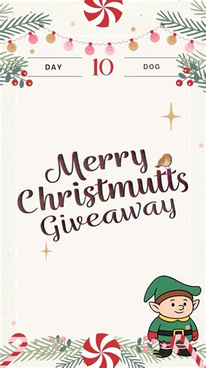 Ancol Pet Products | This is now closed Congratulations @walkieswithbella Ancol’s Christmas Advent Calendar - DAY 10!🎄 You only have 24 hours to enter! ... | Instagram