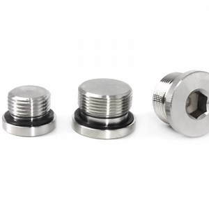 [Hot Item] Stainless Steel M10-M64/G Stainless Steel A2 A4 Hex Socket Screw Plug DIN908