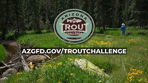 9.9K views · 126 reactions | Take the Arizona Trout Challenge! It's a fun way to explore our beautiful state and get your fish on!  Check it out: https://www.azgfd.com/fishing/troutchallenge/ | Arizona Game & Fish Department | Facebook