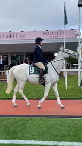 Smad Place parading at Cheltenham today 😍😍😍 | Racing TV
