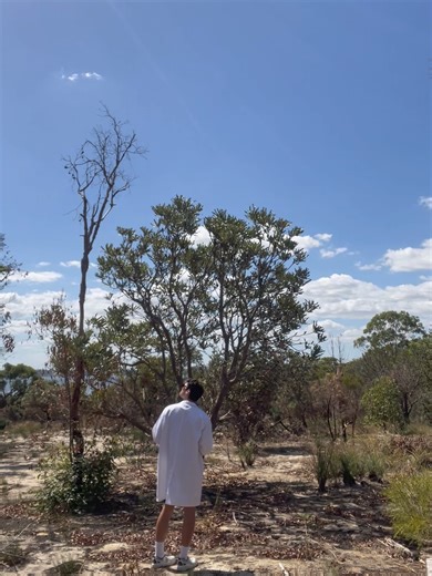 The sky isn’t blue for the reason you think... #science #learnontiktok #physics #bluesky #rayleighscattering #didyouknow #fyp #foryou #education #explainer · The sky is blue due to Rayleigh scattering. · Light is electromagnetic radiation, and we can see the visible range. · Particles (N2 and O2) are much smaller than the wavelength of light. · They experience a uniform electric field and a dipole moment is induced. · Oscillating dipoles re-radiate light (via electric field) at the same frequenc