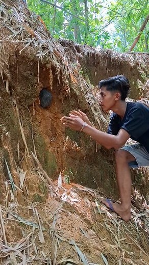 This animal digs holes in the ground | Khoirul Anam