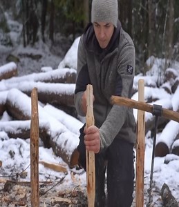 533K views · 8.6K reactions | Years spent in solitude, crafting a log cabin deep in the heart of the forest. Each log tells a story, each nail a testament to perseverance. 蝹✨ What would you build if you had all the time in the world? Share your dreams below! ⬇️ #LogCabinLife #NatureLovers #Craftsmanship | Camping Life | Facebook