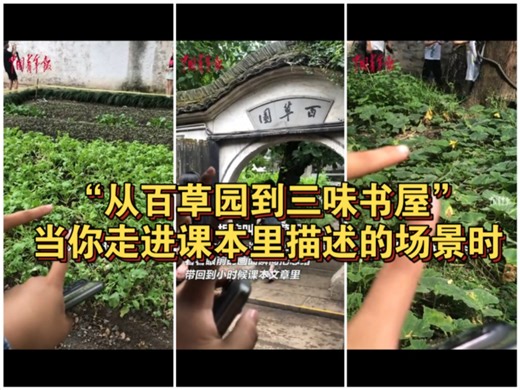 “从百草园到三味书屋”，当你走进课本里的描述的场景