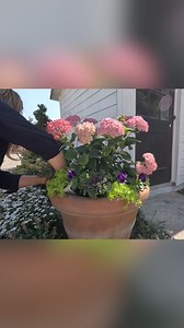 Fall container goals! 🍁🪴 Watch Laura from Garden Answer transform a simple pot into a stunning fall display with beautiful annuals and a BIG hydrangea. 🌸✨ She’s using Espoma Organic Potting Soil Mix and Bio-tone Starter Plus for the perfect growing medium with a boost of nutrients essential for strong roots and big, beautiful blooms. 🪻🌸 Watch the full video: https://bit.ly/3Ny6LHL | Espoma Organic