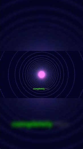 The Singularity: Where Space and Time Flip!