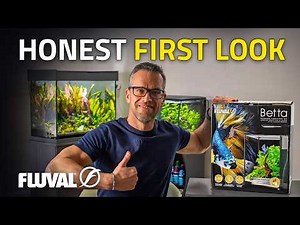 Is This the Perfect Betta Tank? Full Setup & Review by George Farmer