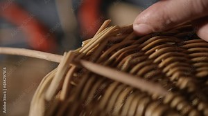 pruning willow branches Stock Video