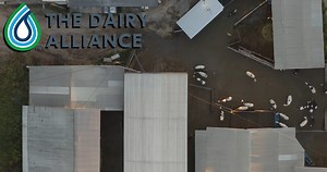 Manure is more than something in a field. Dairy farmers reuse this cow waste in many ways, like using it as fertilizer to improve soil productivity on and off the farm. Nathan Souther from Mountain View Dairy Farm in North Carolina talks about the benefits of reusing cow waste and how it's economical and prevents pollution in nearby streams. #sustainability #thedairyalliance #soil #economicbenefits | The Dairy Alliance | Facebook