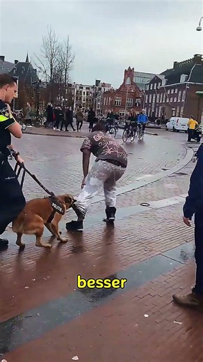 This man barked at a police dog – seconds later he regretted it! 😱