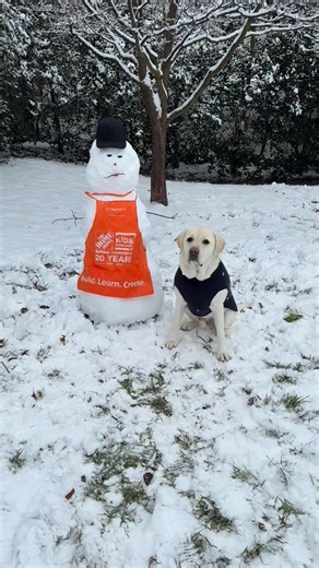 Furiends…meet Mr. Snowman!! I built him all by myself! 🥰 ☃️ #snowman #snowday #snow #dog #labrador | Dozer