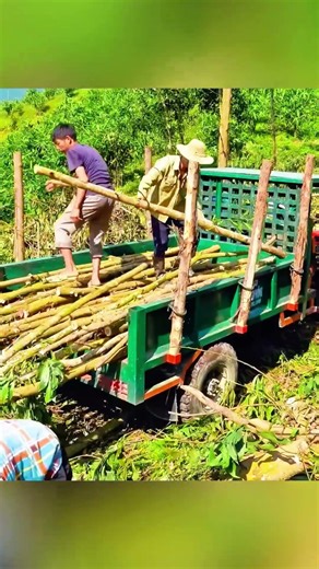 Buying 1000+ Giant Logs From Mountain Villagers – Massive Wood Transport!