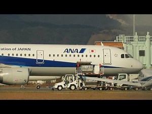 ANA Airbus A321-200 JA112A 東京～高知往復便 着離陸 高知龍馬空港 2017 1
