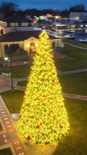 'Tis the Season Lehi! The Lehi Christmas Tree is up! Reminder that our Santa Parade Celebration is on Saturday, December 13 outside the Legacy Center! Here's the schedule: 4:00 p.m. | Holiday Market Opens: Swing by early to browse the festive booths and grab a treat while you wait for the parade to begin! 5:00 p.m. | Santa Parade Begins: The parade starts at Lehi High School, makes its way down Main Street, and finishes at 100 West. Immediately Following Parade | Activities Begin: Train rides Pr