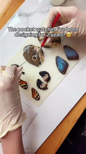 Are my watches really that bad?🥹🦋 #butterfly #jewellery #pocketwatch #watch #DIY