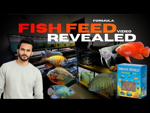 My Secret Fish Feed Formula Revealed - Imran’s World
