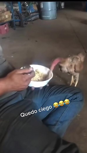 #chainerbtc #viral #costarica🇨🇷 #humor #fyp #comedia