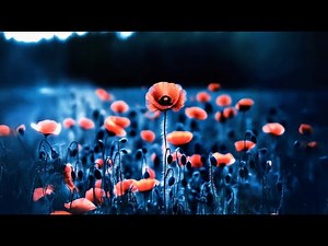 03 - Dizzy DROS - Borderline (TPS)