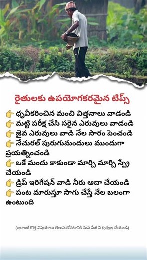 Smart farming tips every farmer should know