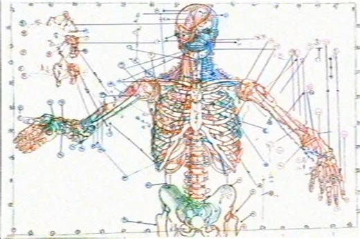 pet on Instagram: "You Make me feel So good"